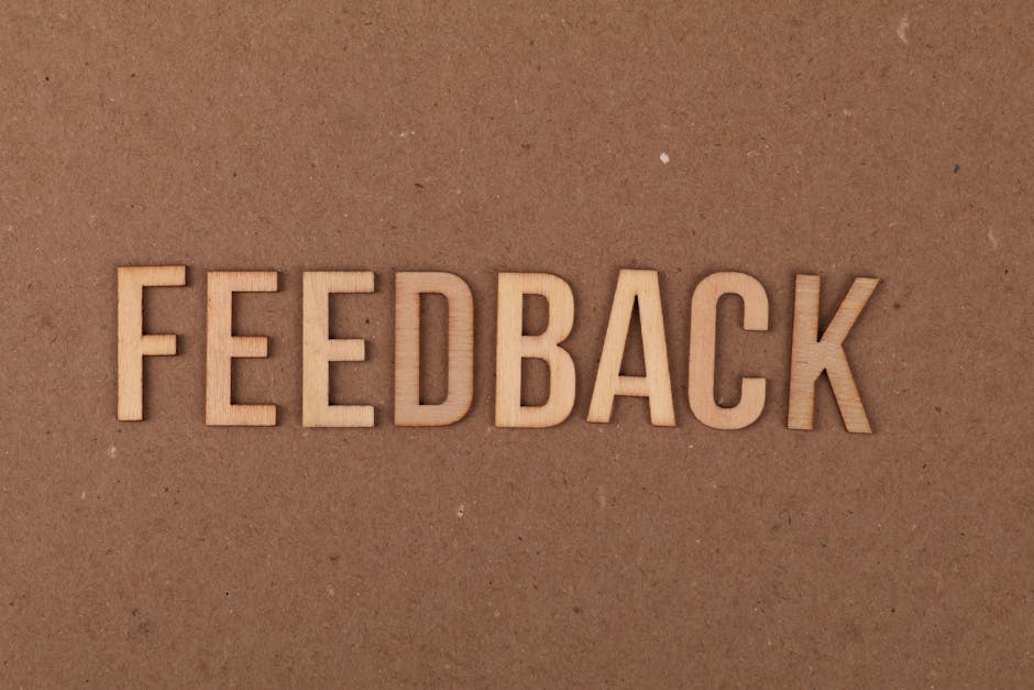 Using Feedback Mechanisms to Improve Result Accuracy